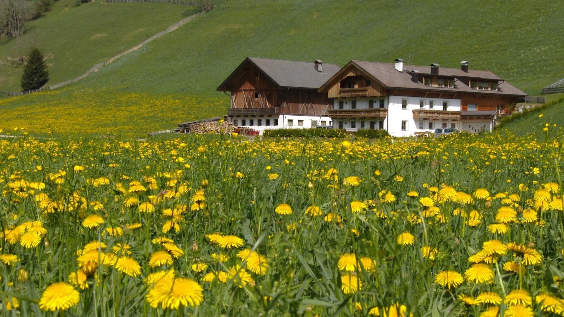 Willa Parggenhof San Candido Zewnętrze zdjęcie