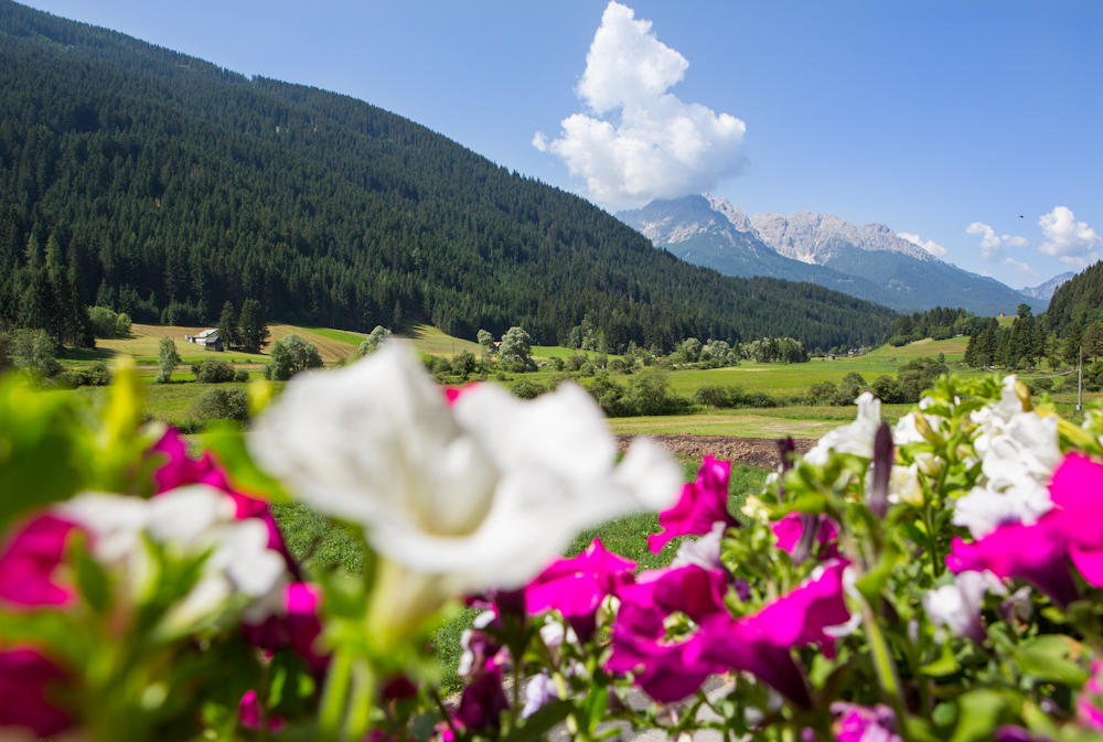 Willa Parggenhof San Candido Pokój zdjęcie