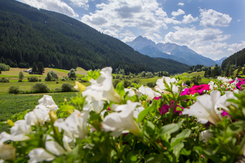 Willa Parggenhof San Candido Zewnętrze zdjęcie